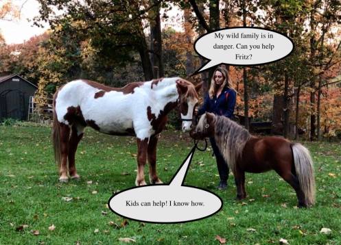 22780525_1660923057313389_7618844459544575948_n