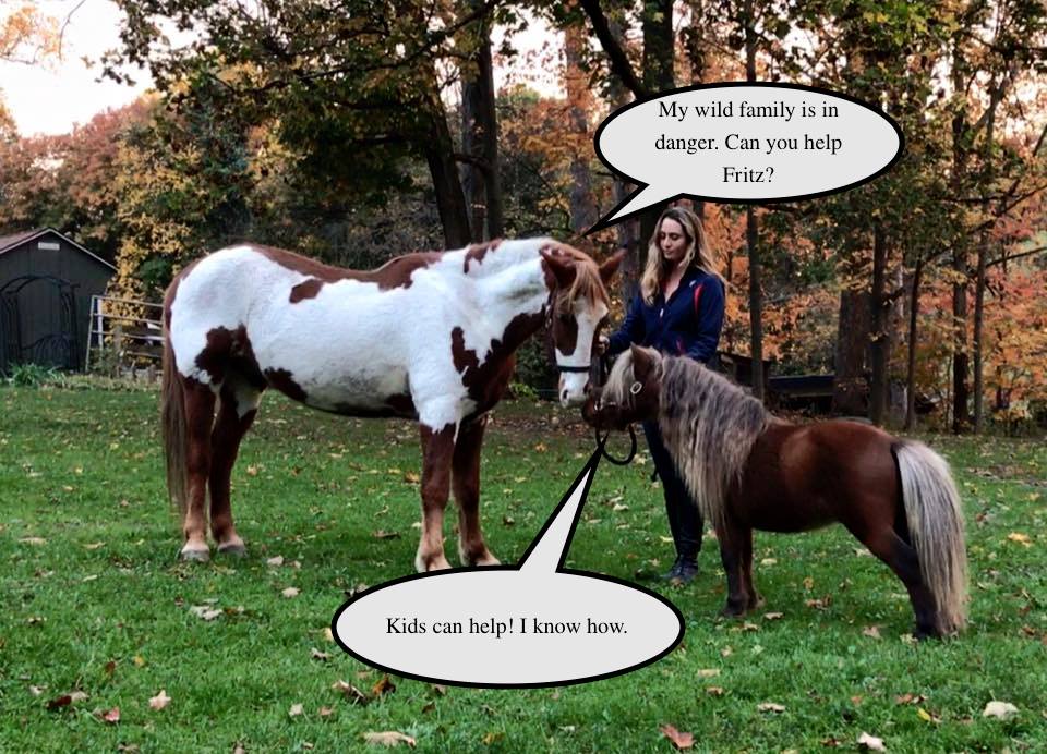 22780525_1660923057313389_7618844459544575948_n