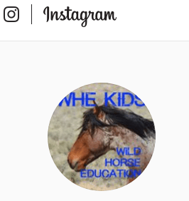 whekidsinsta